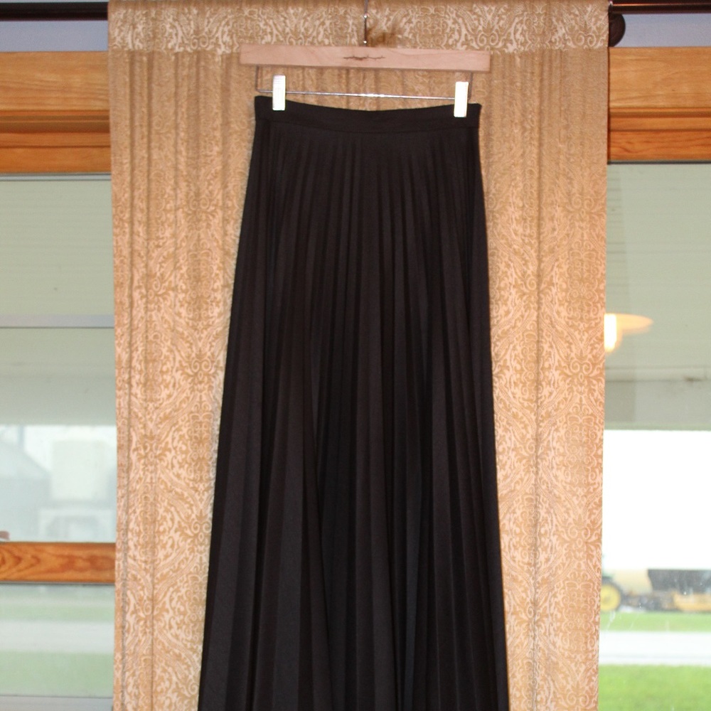 Accordian style long high waist skirt